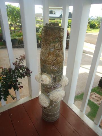 Kapaa