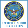 Other DoD