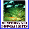 Sea Disposal